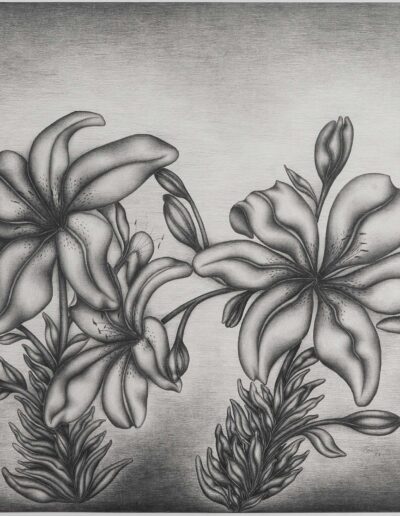 LILIES-GRAPHITE-AND-PRISMACOLOR-PENCIL-32-X-39-IN